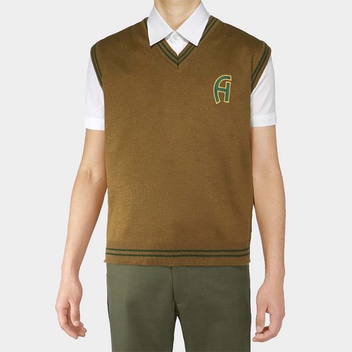 PULLOVER COL. ALGARROBOS